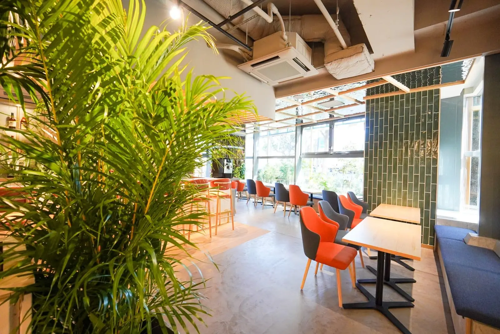 Areca Café & Bar