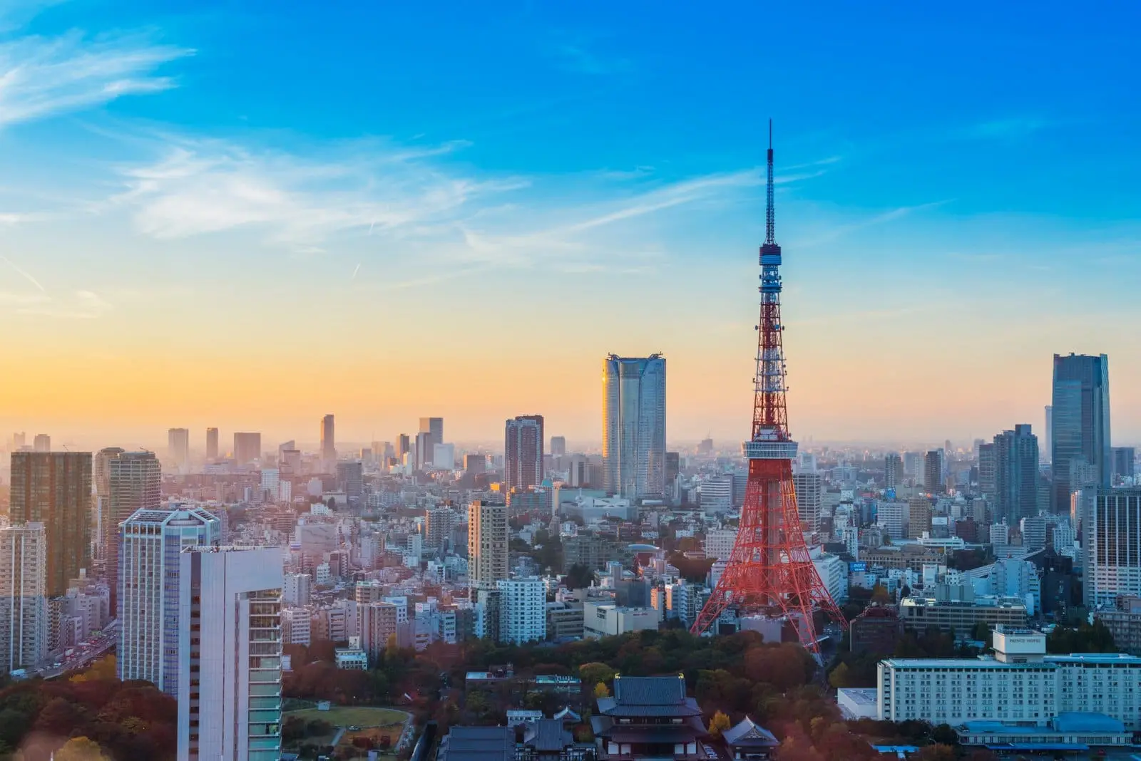 Tokyo Tower and the Tokyo skyline